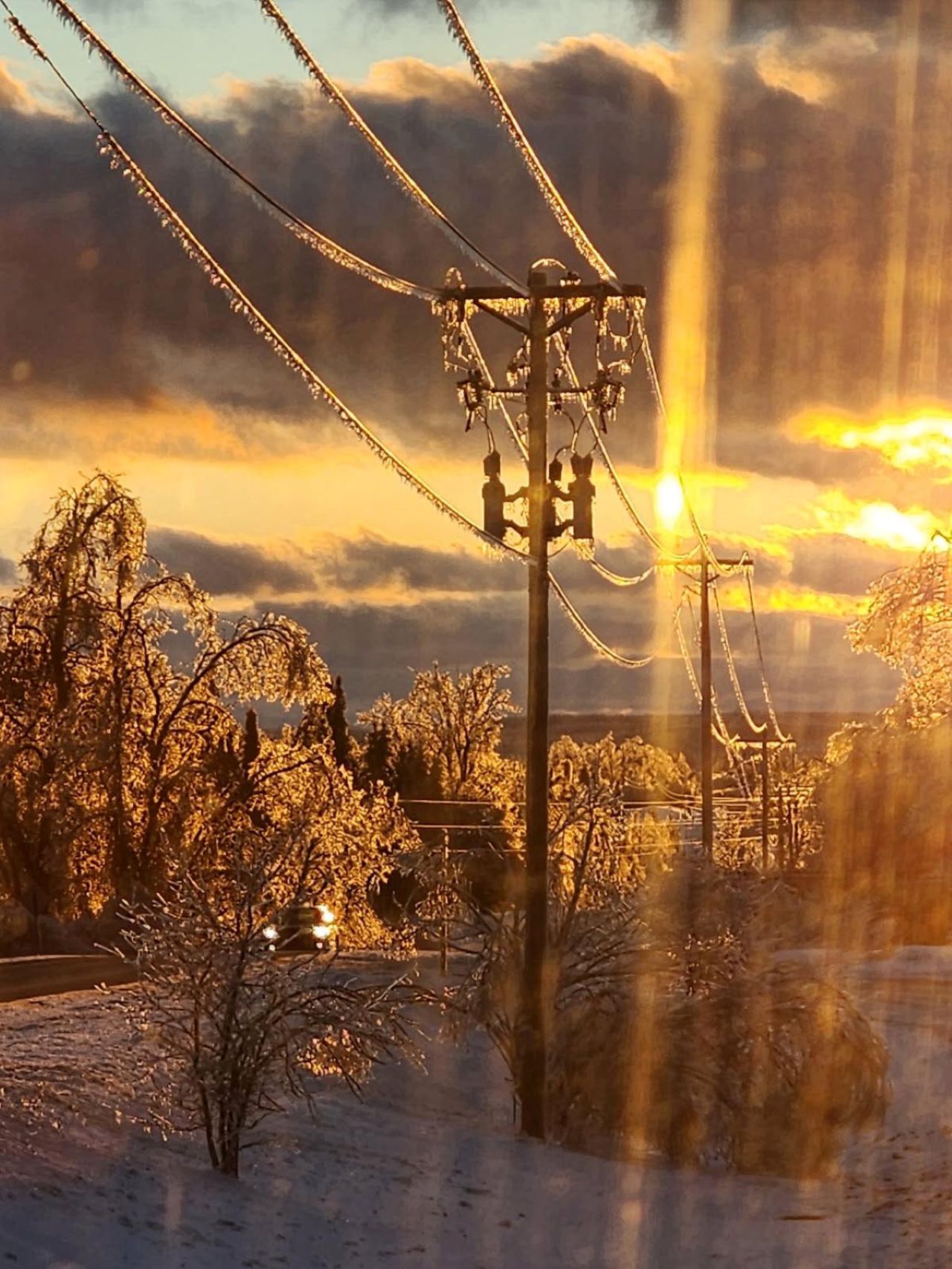 Frozen Lines